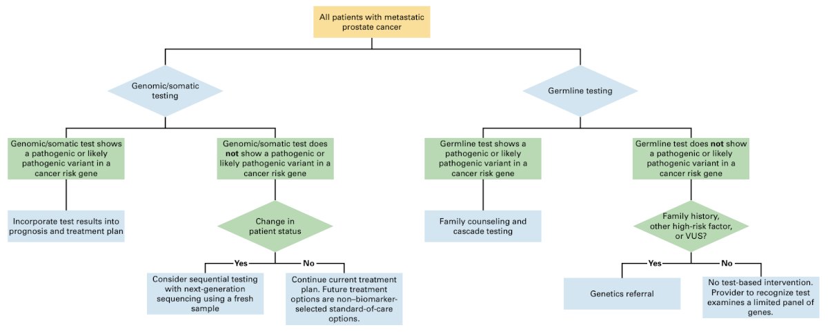 The ASCO Guideline Clinical Insights provides recommendations for somatic and germline testing for metastatic prostate cancer:4