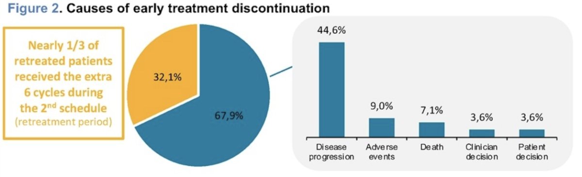 From the general population, 56 patients received a second schedule and completed an end of treatment form. The other 78 patients were still being monitored at the end of the Extended Access Program. Among them, 1/3 received the planned 6 cycles, and the cause of discontinuation was most commonly disease progression (44.6%):