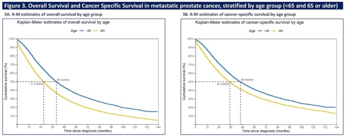 Among patients aged ≥65, the median overall survival and cancer-specific survival were 27 and 35 months, respectively, with 5-year survival rates of 24% and 34%: