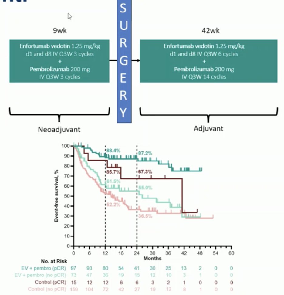 Dr. Rosenberg emphasized that understanding the relative contribution of the neoadjuvant and adjuvant hases of therapy is critical as the field moves forward with perioperative EV + pembrolizumab. Emerging ctDNA data may help refine this question, particularly whether adjuvant therapy is necessary in patients who are ctDNA-negative or achieve pCR after surgery. He noted that, at present, these remain unanswered but essential questions for future trial design and clinical practice.