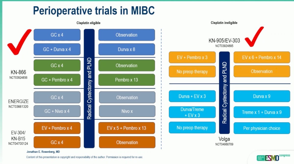 Dr. Rosenberg highlighted the evolving perioperative treatment landscape in MIBC, noting that KEYNOTE-905/EV-303 represents the first phase 3 trial to demonstrate an OS benefit in the cisplatin-ineligible setting. He contrasted this with ongoing studies in cisplatin-eligible populations, such as KN-866, ENERGIZE, and EV-304/KN-B15, emphasizing how these complementary trials will help define the role of immunotherapy and antibody–drug conjugates across the full spectrum of MIBC. A summary of perioperative trials in MIBC is outlined below.