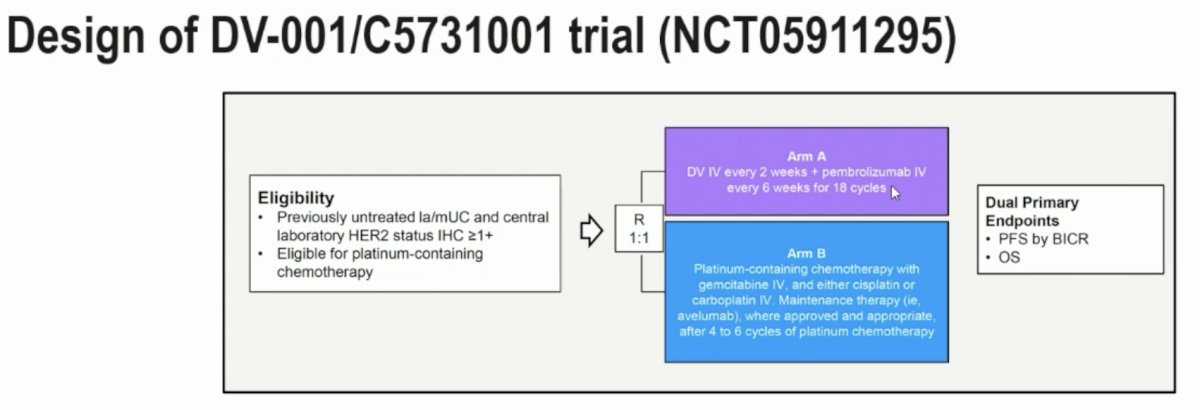 The ongoing DV-001/C5731001 trial (NCT05911295) is evaluating DV + pembrolizumab versus platinum chemotherapy followed by maintenance avelumab in patients with HER2-expressing la/mUC. Do we need to await the results of this trial prior to accepting front line DV + IO therapy on a global stage? Will pembrolizumab be as effective as toripalimab?