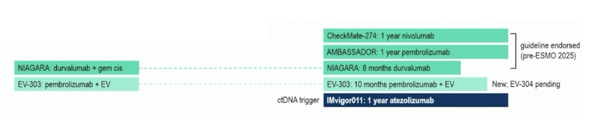 Is late positivity associated with lower ctDNA level and more ‘indolent disease’? Dr. Wyatt emphasized that in the future we should abandon a binary ctDNA status and rather move to a continuous variable, as low ctDNA can hover around the detection limit. Where the IMvigor011 results fit into the perioperative muscle invasive disease landscape will be up for debate, given the now plethora of data in this disease space: