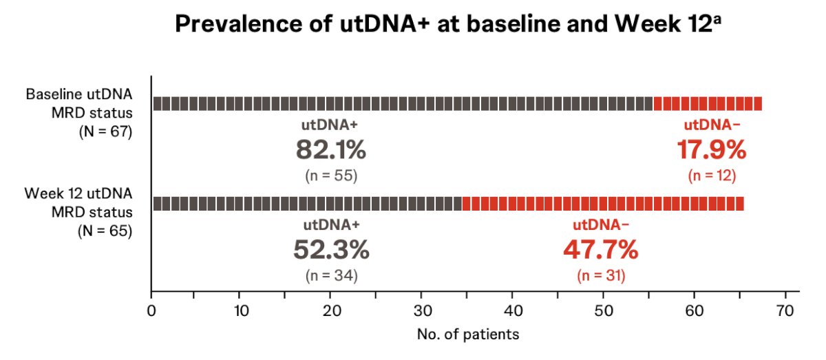 The proportion of patients who were utDNA positive was reduced from baseline to week 12, irrespective of treatment. In cohort 1, 77.8% and 50.0% of patients were utDNA positive at baseline and week 12, respectively. In cohort 2, 90.9% and 55.6% of patients were utDNA positive at baseline and week 12, respectively. There were no meaningful differences observed between the cohorts, though the sample sizes were limited: