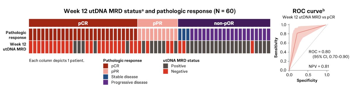Overall, 22 of 27 patients (81.5%) who achieved a pathologic complete response were utDNA negative at week 12, compared with 7 of 33 (21.2%) who did not achieve pathologic complete response (p < 0.00001):