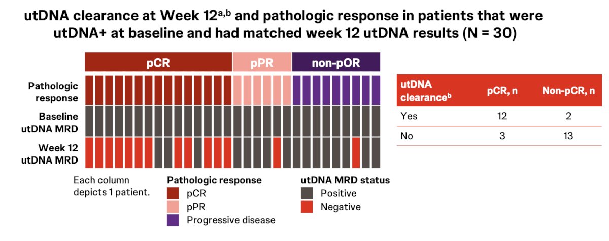 Of 30 patients who were utDNA positive at baseline and had matched week 12 utDNA results, 14 (46.7%) had utDNA clearance at week 12. Moreover, 12 of 15 patients (80%) who were utDNA positive at baseline and achieved a pathological complete response had utDNA clearance at week 12, compared with 2 of 15 (13.3%) who did not achieve a pathologic complete response (p = 0.0006):