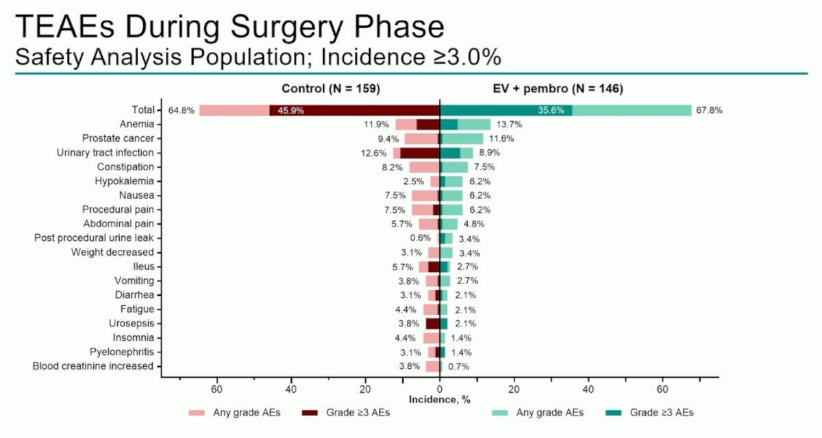 During the surgery phase, anemia and incidental prostate cancer were the most frequently reported TEAEs, with comparable incidence between the EV + pembrolizumab and control arms. No excess perioperative complications or new safety signals were observed with the combination.
