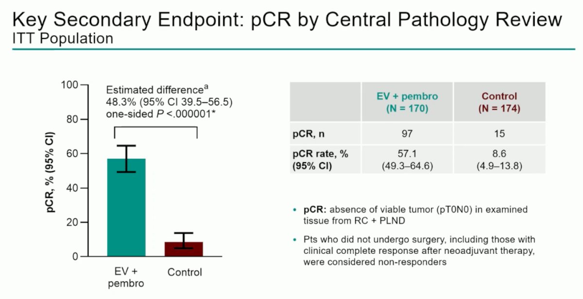 Pathological complete response (pCR), defined as the absence of viable tumor (pT0N0) in RC + PLND specimens, was a key secondary endpoint of the study. The pCR rate was 57.1% with EV + pembrolizumab versus 8.6% with control (estimated difference 48.3%, one-sided p < 0.000001). All ITT patients were included in the denominator, and those not undergoing surgery were considered non-responders. This represents the highest pCR rate ever reported in a phase 3 MIBC trial.