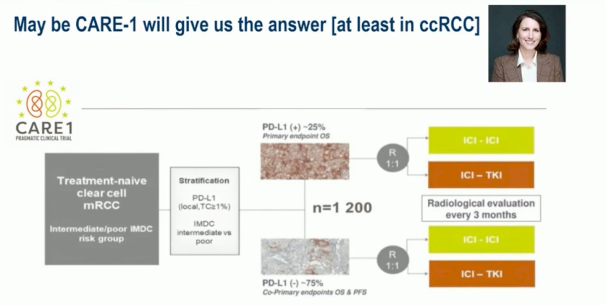 Dr. Durán emphasized the need to move toward pragmatic, biomarker-driven studies to refine patient selection and therapeutic strategies in RCC. The ongoing CARE-1 trial, led by Dr. Laurence Albiges, exemplifies this approach stratifying treatment-naive clear cell mRCC patients by PD-L1 expression and IMDC risk group to directly compare ICI–ICI versus ICI–TKI combinations. Unfortunately, such efforts currently focus only on clear cell RCC, leaving a significant evidence gap for non-clear cell subtypes.