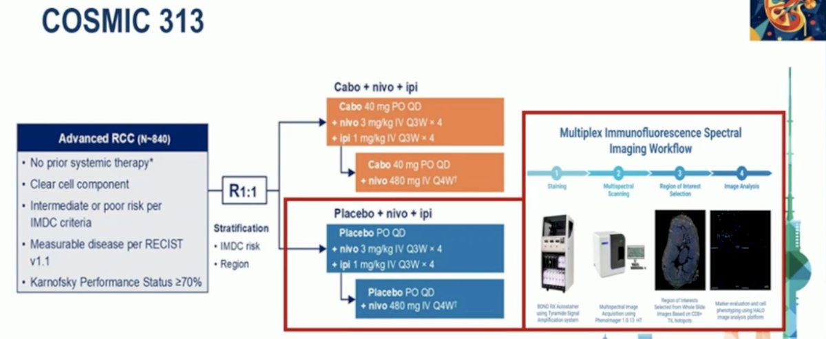 Dr. Scagliarini then introduced the abstract presented by Dr. Berkay Simsek, which focused on identifying biomarkers of response to first-line nivolumab plus ipilimumab therapy in patients with metastatic clear cell RCC enrolled in the COSMIC-313 trial. (5) The COSMIC-313 study design is shown below.