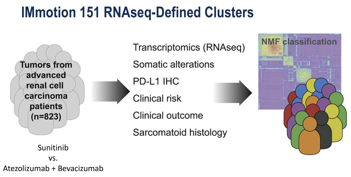 Extensive translational and genomic characterization was performed on tumors from this study. In this report, Dr. Haake focused on the gene expression analyses. Unsupervised clustering was performed using the gene expression data, grouping similar tumors into "clusters".