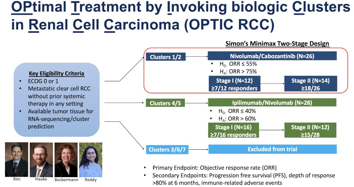 Tumors were allocated to treatment arms based on cluster assignment: