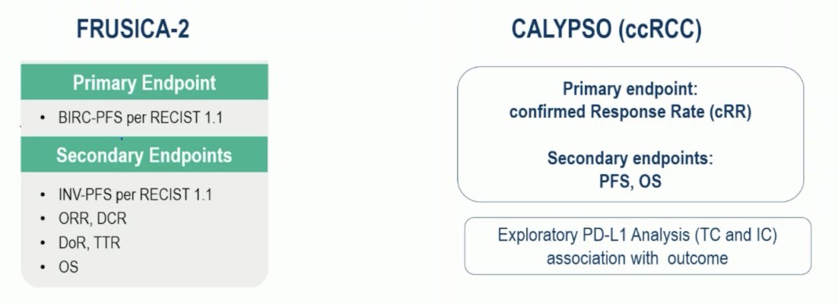 Endpoints in this clinical scenario are also important, which include a primary endpoint of blinded independent central review of progression-free survival in FRUCISCA-2 and confirmed response rate in CALYPSO: