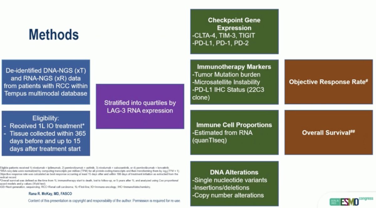 The primary outcomes of the study were objective response rate (ORR) and overall survival (OS), evaluated according to levels of LAG-3 expression. Methods are outlined below.