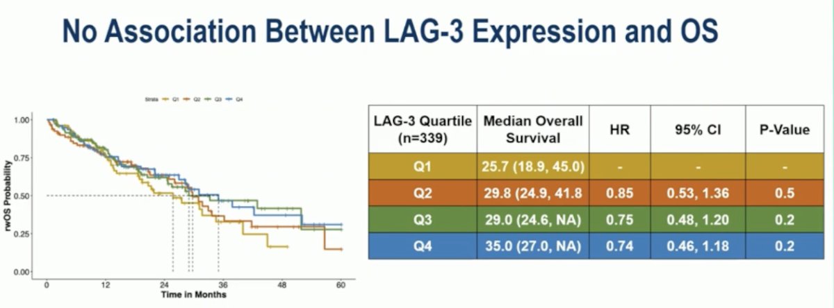 Notably, they found no significant association between LAG-3 RNA expression and overall survival. Median OS ranged from 25.7 months in the lowest quartile (Q1) to 35 months in the highest quartile (Q4), with no statistically significant differences observed across groups (HR 0.74; 95% CI, 0.46–1.18; p=0.2). These results suggest that while elevated LAG-3 expression correlates with increased immune activity and response, it does not independently predict long-term survival outcomes in patients receiving frontline immunotherapy for RCC.