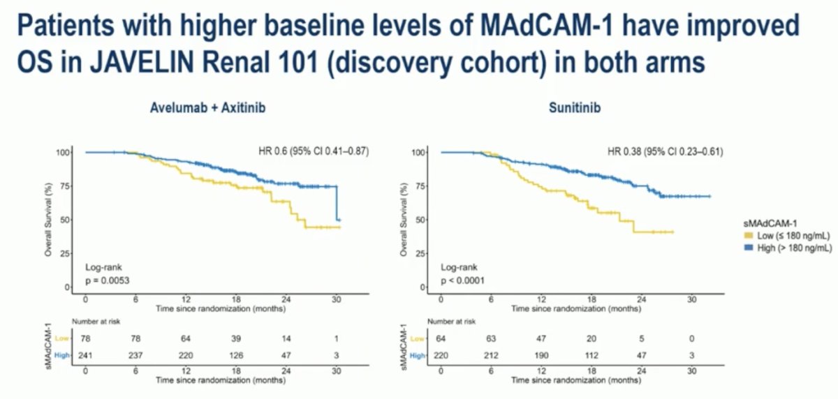 Notably, in the JAVELIN Renal 101 discovery cohort, patients with higher baseline levels of soluble MAdCAM-1 had significantly improved overall survival in both treatment arms. Among those treated with avelumab plus axitinib, high sMAdCAM-1 levels (>180 ng/mL) were associated with a hazard ratio (HR) of 0.6 (95% CI 0.41–0.87; p = 0.0053), while for patients receiving sunitinib, the benefit was even more pronounced (HR 0.38; 95% CI 0.23–0.61; p < 0.0001).