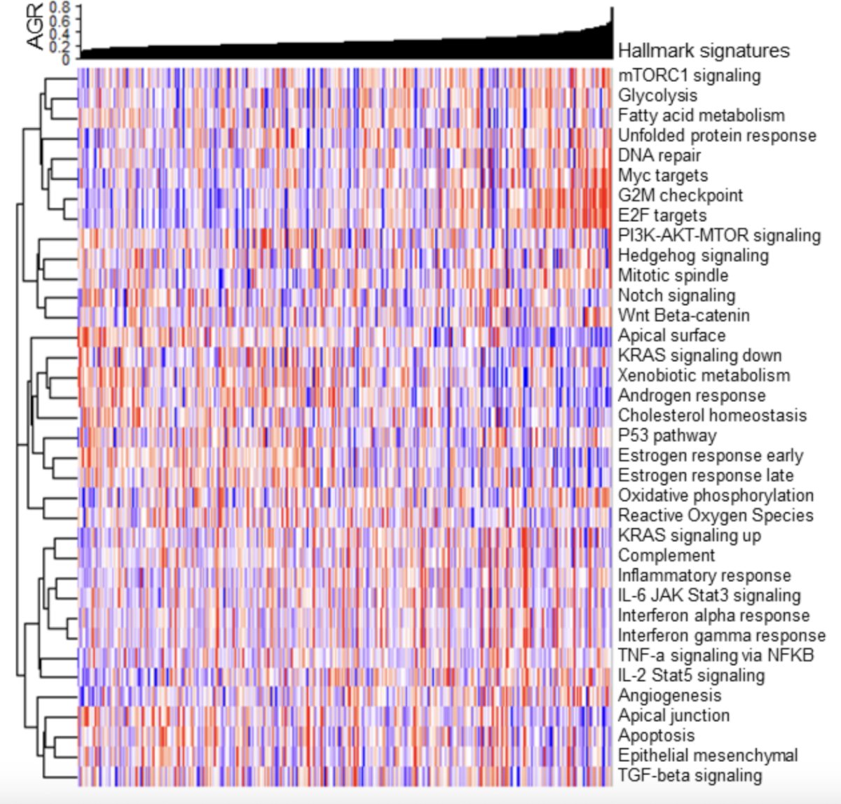 Additionally, the heat map of UCSF patients ordered by increasing average genomic risk for normalized scores for 37 hallmark gene set scores clustered by unsupervised clustering is noted below: