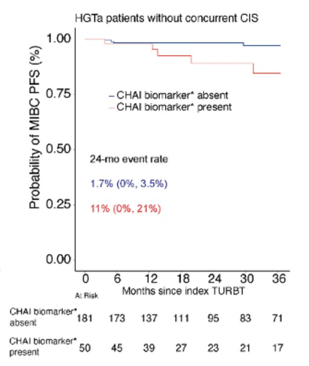 Additionally, in patients with HG Ta non-muscle invasive bladder cancer without concurrent CIS, CHAI high-risk biomarkers were significantly associated with and muscle invasive-progression free survival (24 months rate: 11% versus 1.7%; HR 4.86, p = 0.019):