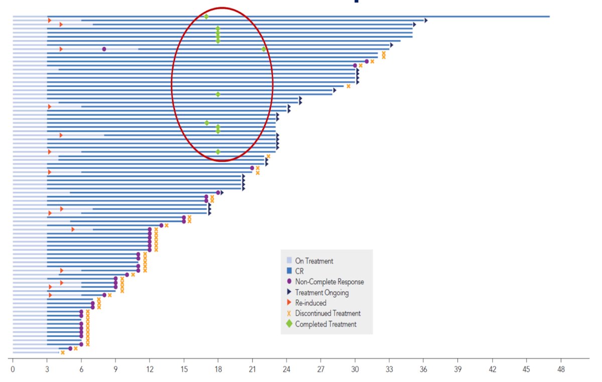 The Swimmer’s plot for individual treatment response in months is as follows:&nbsp;