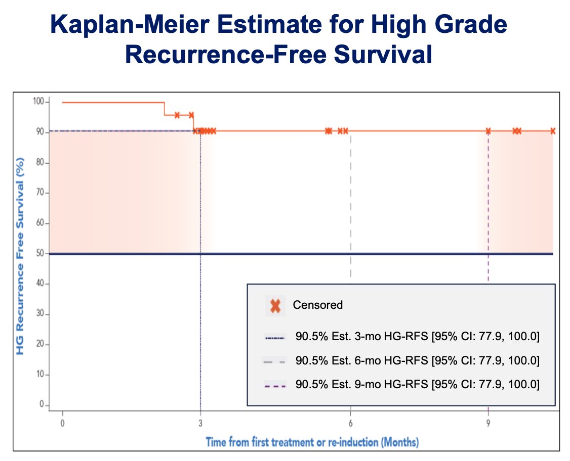 The first 24 patients who received treatment with cretostimogene and were evaluated for high-grade recurrence-free survival and safety were evaluated. Kaplan-Meier estimates at 3- and 9-month high-grade recurrence-free survival are 90.5%, respectively, with a 95% CI of 77.9-100%: