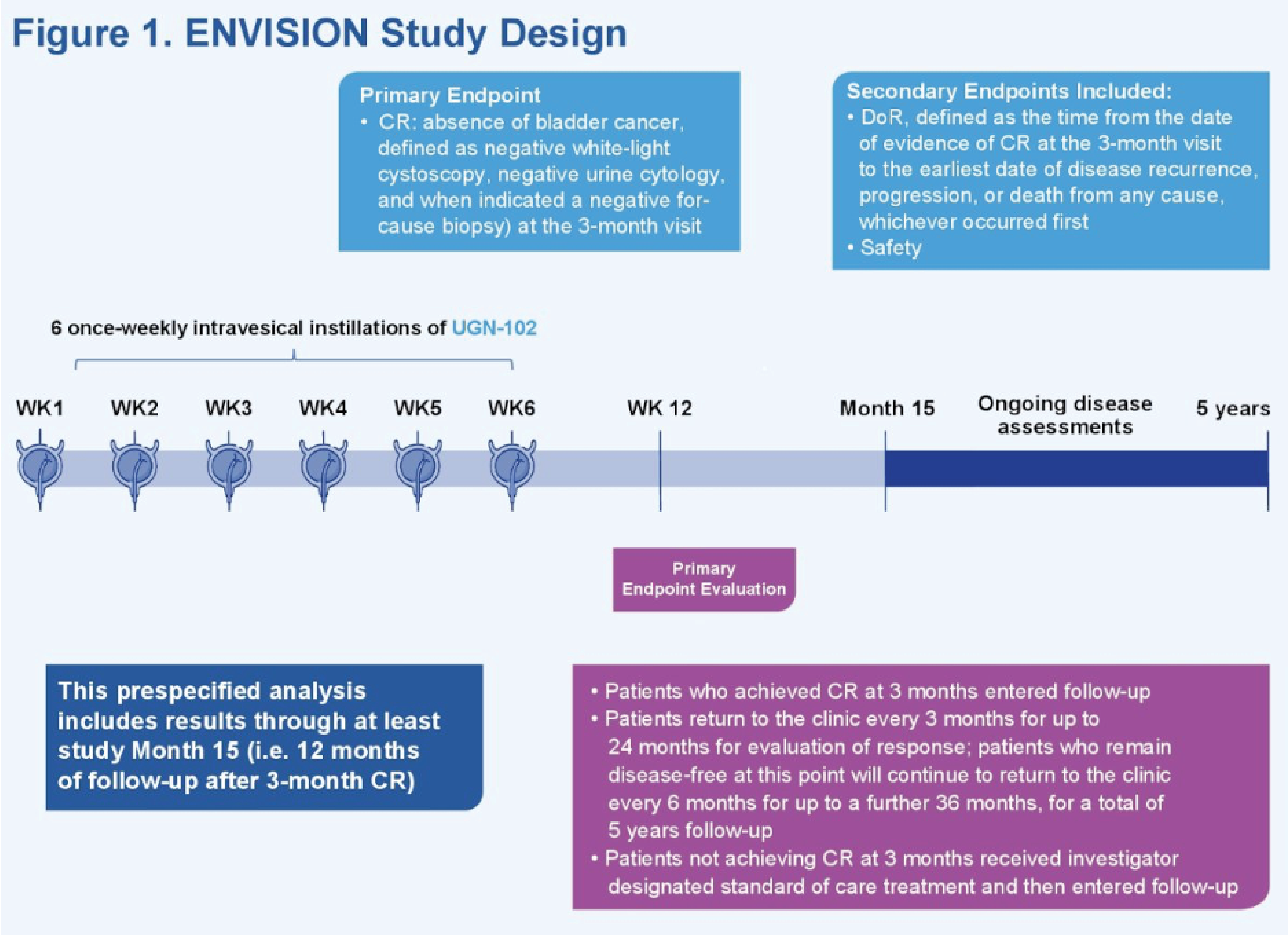 Impact of Tumor Burden or Focality on Duration of Response to Treatment with UGN-102 in Recurrent Low-Grade Intermediate-Risk NMIBC image 1