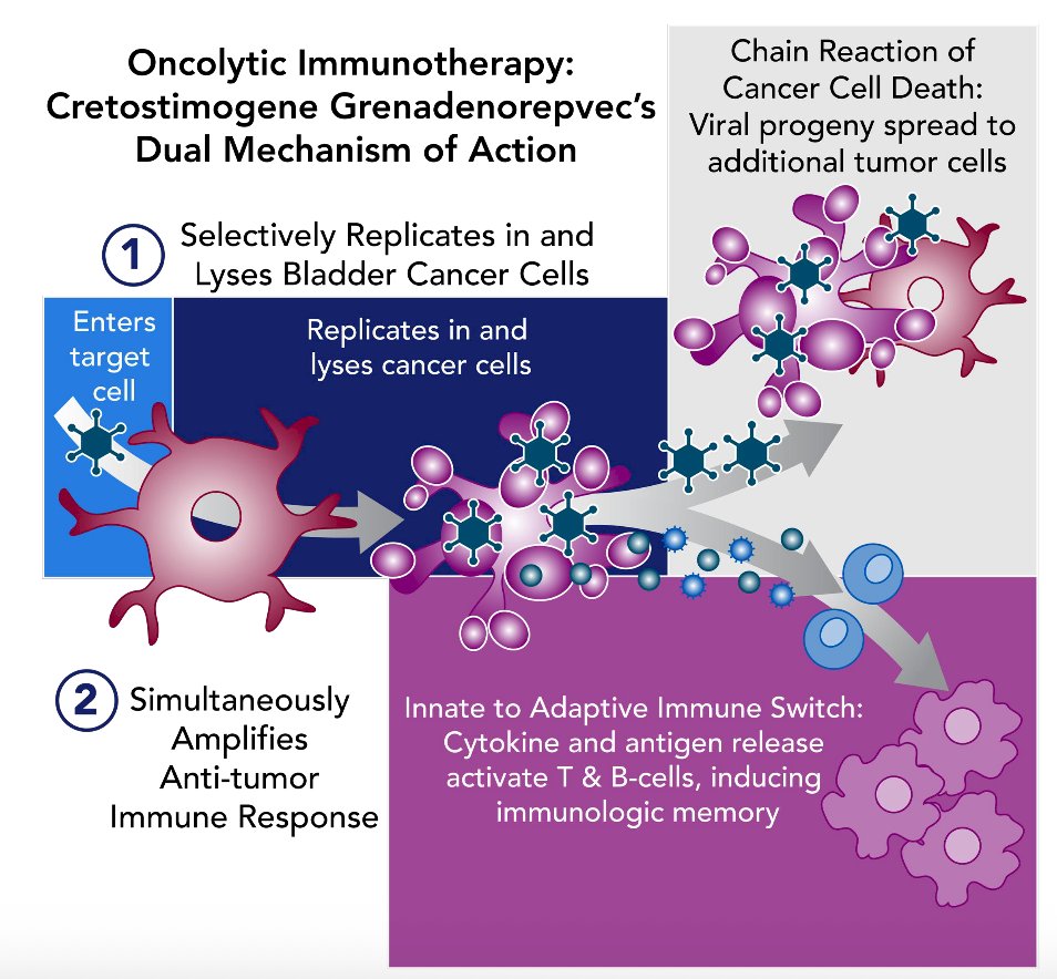WSAUA 2025: Streamlined, Patient-Centric Design of the Cretostimogene Grenadenorepvec Expanded Access Program in Patients with NMIBC Unresponsive to BCG image 1