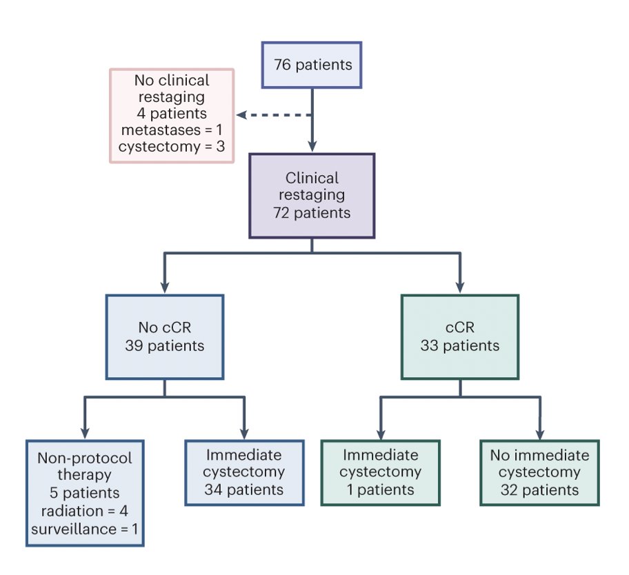 The co-primary endpoints were (i) clinical complete response rate, and (ii) performance of clinical complete response in predicting treatment benefit, defined as either 2-year metastasis-free survival if no cystectomy or pathological complete response in patients undergoing immediate cystectomy. This trial recruited 76 patients, of whom 72 underwent clinical re-staging. Of these 72 re-staged patients, 33 (43%) had a clinical response, and 32/33 chose against proceeding with cystectomy:&nbsp;