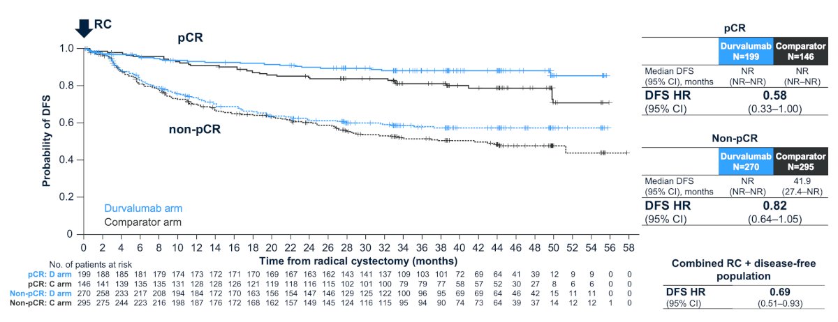 Importantly, in the NIAGARA trial, perioperative durvalumab + neoadjuvant chemotherapy improved disease-free survival in both the pathological complete responders and those without response: