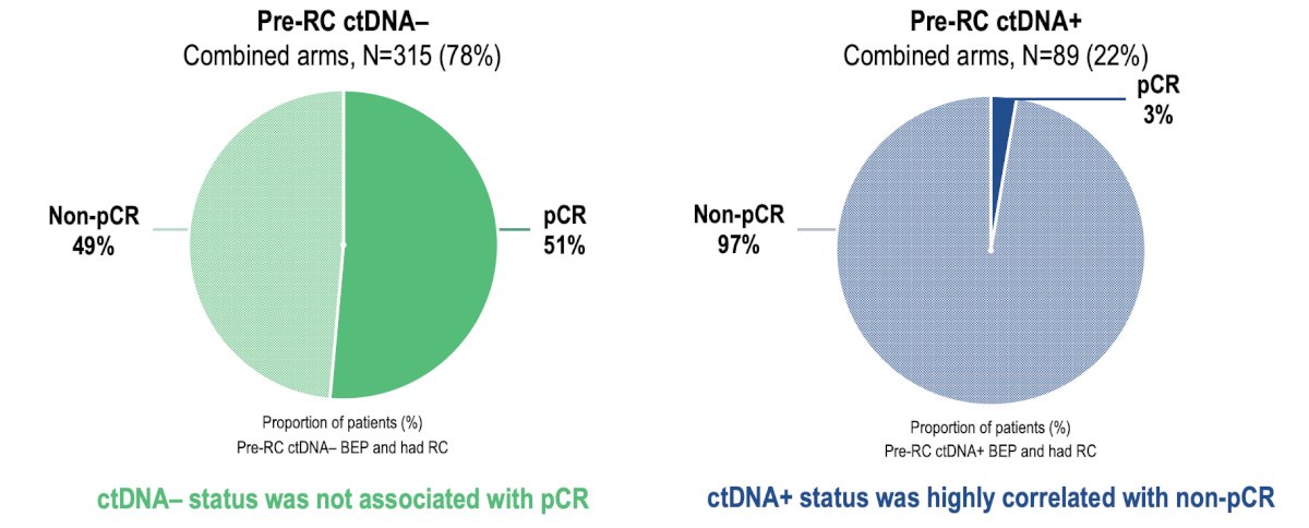 Pre-radical cystectomy ctDNA- status was not associated with pathological complete response, however, ctDNA+ status was highly correlated with non-pathological complete response: