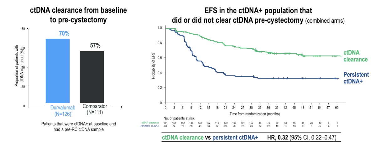 Additionally, ctDNA clearance was higher in the durvalumab arms and prognostic for event-free survival (HR 0.32, 95% CI 0.22-0.47):