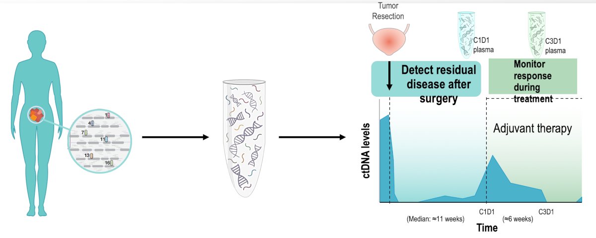Even though IMvigor010 was a negative trial, a vigorous ctDNA collection program was included in the trial, with the following key steps: