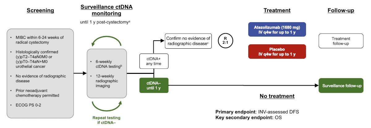 These results from IMvigor010 informed the trial design for IMvigor011, the first minimal residual disease-informed phase 3 study with registrational intent assessing clinical outcomes in high-risk and post-cystectomy muscle invasive bladder cancer patients, informed by ctDNA status on serial testing: