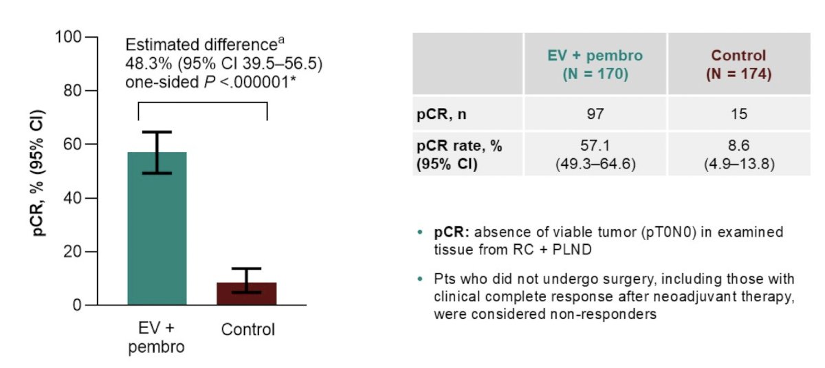 Pathological complete response, defined as the absence of viable tumor (pT0N0) in radical cystectomy specimens, was a key secondary endpoint of the study. The pathological complete response rate was 57.1% with enfortumab vedotin + pembrolizumab versus 8.6% with control (estimated difference 48.3%, one-sided p < 0.000001). This represents the highest pathological complete response rate ever reported in a phase 3 muscle-invasive bladder cancer trial:
