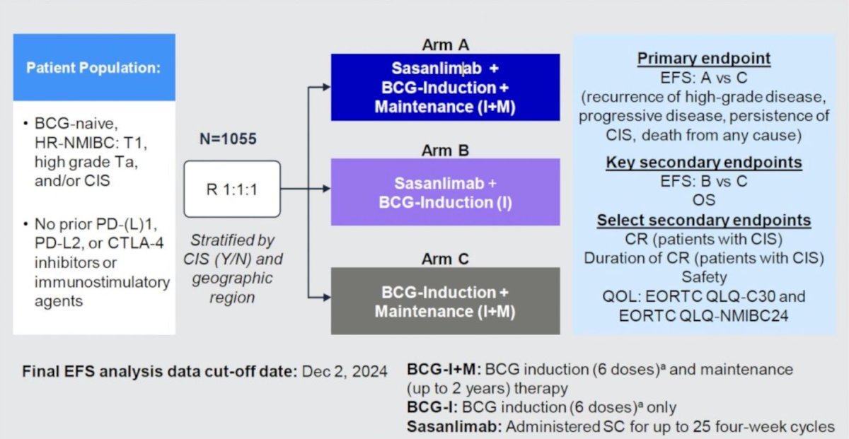 The CREST trial [7] was presented at AUA 2025, which was a three-arm study comparing different combinations of sasanlimab and BCG. Arm A received sasanlimab administered subcutaneously combined with BCG induction and maintenance, Arm B received sasanlimab with BCG induction only, and Arm C received BCG induction and maintenance alone. The primary endpoint was event-free survival, defined as recurrence of high-grade disease, progressive disease, persistence of CIS, or death from any cause: