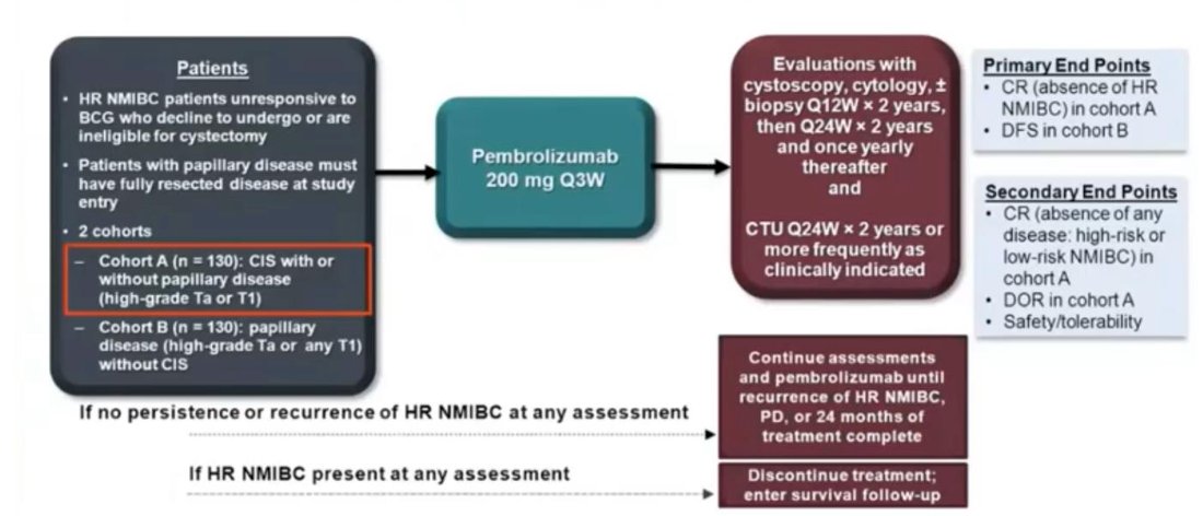 The approval for pembrolizumab in BCG unresponsive disease was based on the KEYNOTE-057 trial [9]. Patients received intravenous pembrolizumab 200 mg every 3 weeks for up to 24 months or until patients had evidence of centrally-confirmed disease persistence, recurrence, or progression or unacceptable drug-related toxicity:&nbsp;