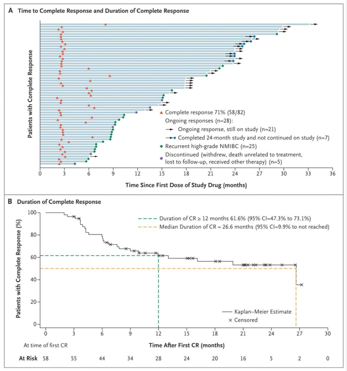 The Quilt 3032 trial [11] led to the approval of N-803 (nogapendekin alfa inbakicept: ANKTIVA®), which is an interleukin-15 superagonist (IL-15), that promotes activation and proliferation of natural killer cells, CD8+ T cells and memory T cells without expanding immunosuppressive T-reg cells. In this trial, over a median follow up of 23.9 months, the complete response rate was 71% and the median duration of response was 26.6 months: