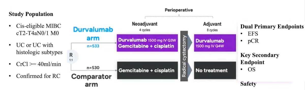 Recently, there has been a paradigm shift in muscle-invasive bladder cancer, given the new perioperative regimen assessed in the NIAGARA trial.4 NIAGARA was the first global phase 3 study to evaluate a perioperative immunotherapy, durvalumab, combined with neoadjuvant chemotherapy in cisplatin-eligible patients with muscle-invasive bladder cancer:1