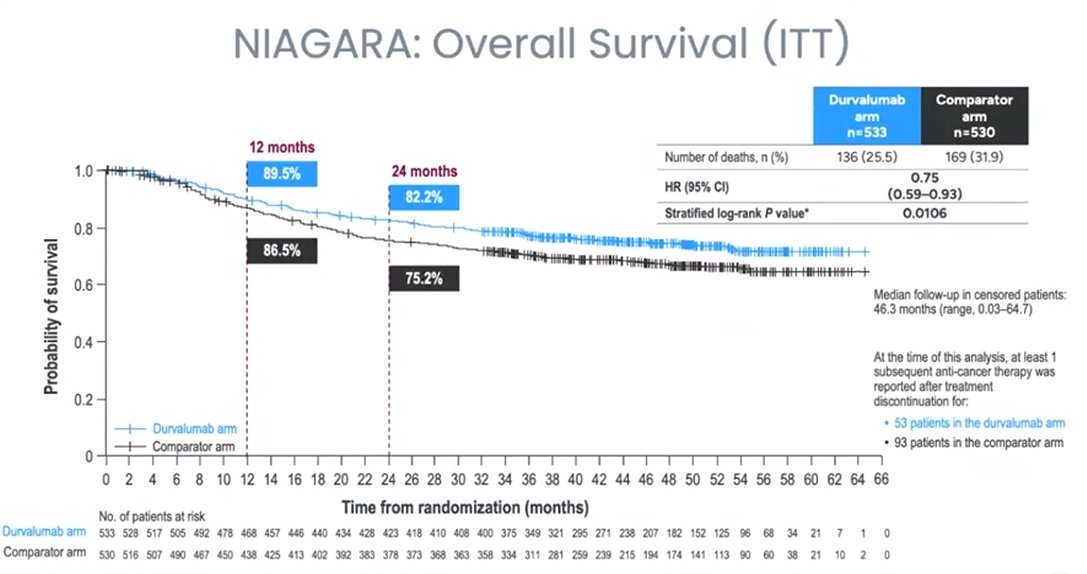 The trial also met the key secondary endpoint of improved overall survival: 25% risk reduction at 24 months (durvalumab + gemcitabine + cisplatin 82.2% versus gemcitabine + cisplatin 75.2%). NIAGARA showed an overall survival benefit in the neoadjuvant setting, for the first time showing this benefit by adding a novel agent to standard of care, and early in the study maturity