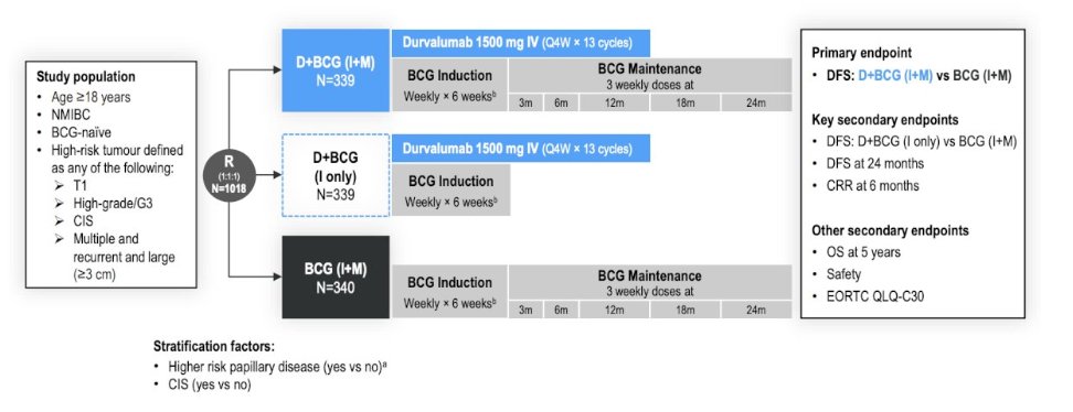 &nbsp;The next trial Dr. Merrill discussed was the POTOMAC trial,2 initially presented at ESMO 2025. In POTOMAC, eligible adult patients with BCG-naïve, local histologically confirmed high-risk non-muscle-invasive bladder cancer who had TURBT (complete resection, including patients with residual CIS) were randomized 1:1:1 to receive durvalumab + BCG (induction + maintenance), durvalumab + BCG induction only, or BCG (induction + maintenance). Durvalumab was administered intravenously (1500 mg every 4 weeks for 13 cycles), and intravesical BCG was given weekly × 6 weeks (induction only) and as 3 weekly doses at 3, 6, 12, 18, and 24 months. Patients were stratified by higher-risk papillary disease and CIS. The primary endpoint was investigator-assessed disease free survival with durvalumab + BCG (induction + maintenance) versus BCG (induction + maintenance):