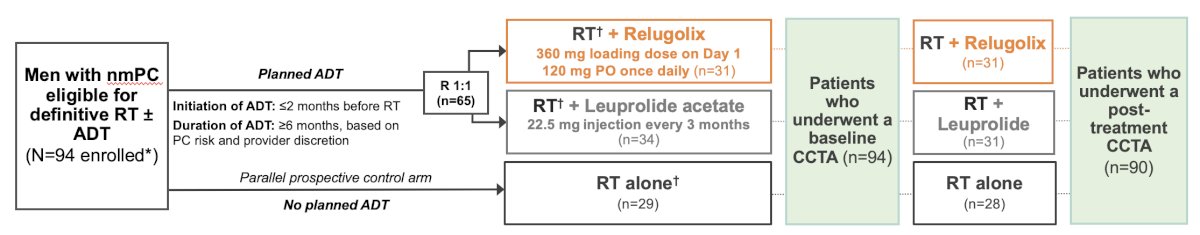 This prospective three-arm trial enrolled men with treatment-naïve, localized prostate cancer pursuing pelvic radiotherapy alone or with concomitant ≥ 6 months ADT. Patients receiving ADT were randomized 1:1 to either leuprolide versus relugolix. Patients receiving radiotherapy alone without ADT served as a control. The trial design for REVELUTION is outlined as follows:
