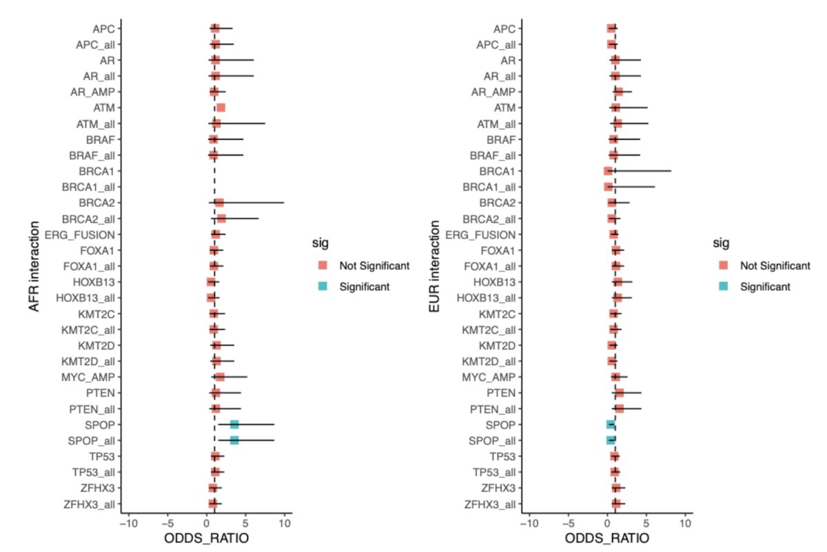 SPOP&nbsp;mutations demonstrated a significant ancestry-stage interaction (p < 0.05), being enriched in African metastatic tumors (OR 1.9, 95% CI 1.1–3.1) and depleted in European metastatic tumors (OR 0.7, 95% CI 0.5–0.9) despite similar prevalence in localized disease (African 11%, European 10%):