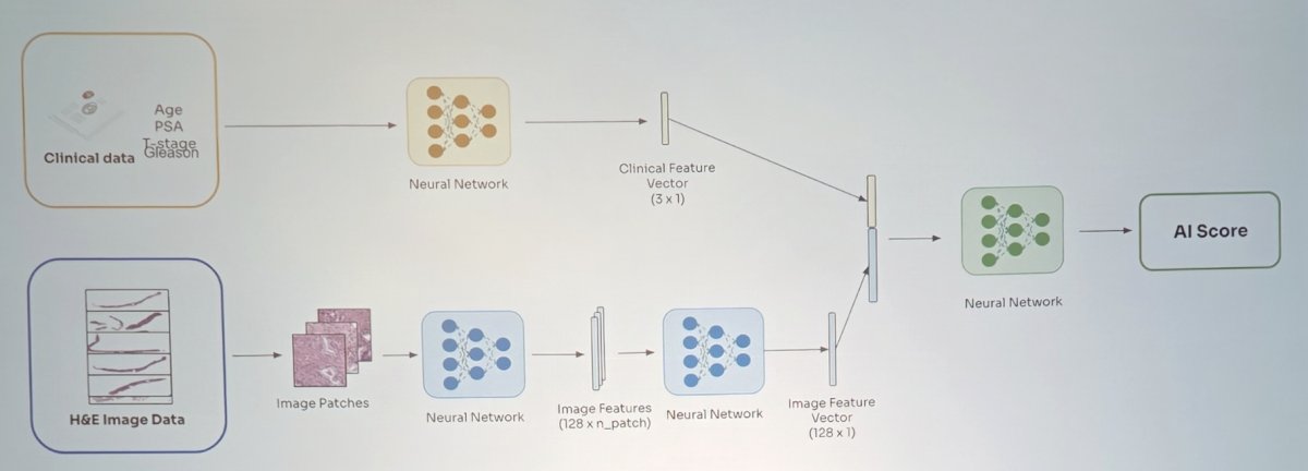 Research and education are underfunded mandates, so Dr. Carroll developed a financial model that facilitated success, recruiting and retaining successful scientists, and understanding the role of philanthropy. Collaboration is also as a catalyst for success, noting successful collaborations for CANARY – Pass, Movember GAP3, Loss of Y chromosome, and CEASAR: 2