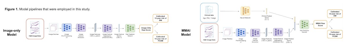 The multimodal artificial intelligence (version 1.2) and image-only (version 1.3) models were previously trained and locked prior to this multicenter validation study [1]: