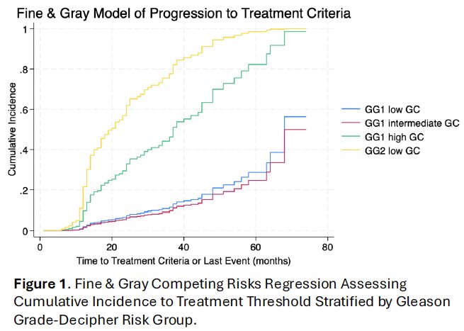 Higher PSA density was independently associated with progression (p=0.009). Illustrated below is a Fine & Gray competing risks regression model with cumulative incidence curves stratified by the combined GG–GC groups, visually demonstrating the divergence in progression risk across the four strata.
