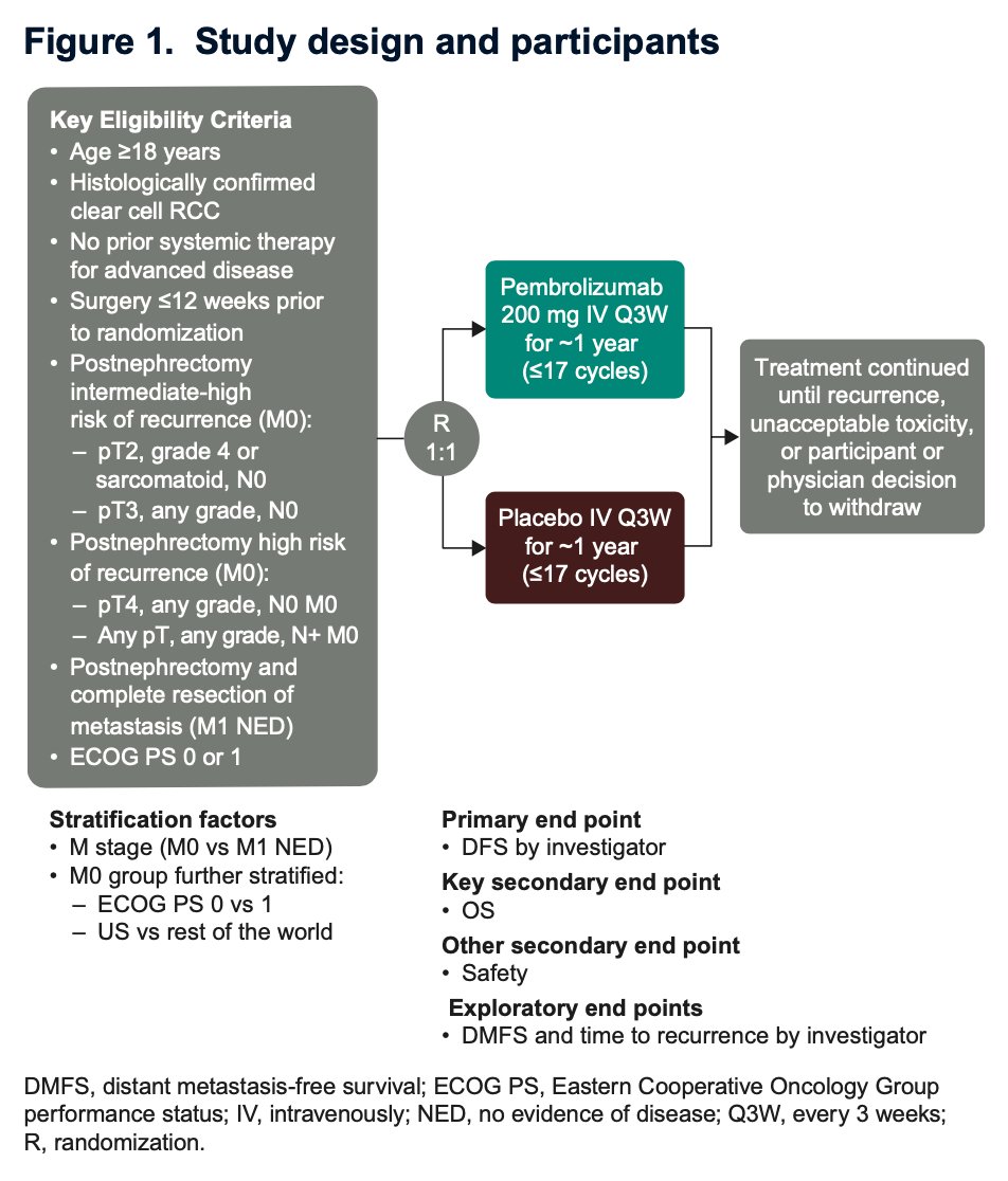 The primary endpoint was investigator-assessed disease-free survival, with overall survival as the key secondary endpoint. Both endpoints were met at earlier analyses, so no further formal hypothesis testing was performed in this update. Adverse events were collected for 30–90 days after treatment completion based on severity, and serious treatment-related events were captured regardless of timing. The study schema is illustrated below.