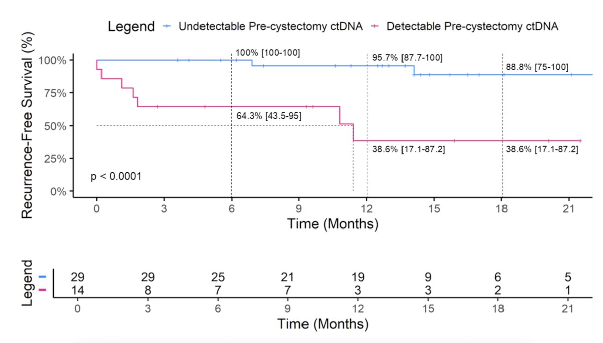 The most common pre-radical cystectomy pathology was T1 HG (60%) and T1 HG + CIS (28.9%). Detectable pre-radical cystectomy ctDNA (versus undetectable ctDNA) were more commonly upstaged (≥pT2), 66.7% versus 13.3% and 33.3% versus 0% had pN+. Among patients with undetectable ctDNA, 20% had pT0, and none had ≥pT3 or pN+ disease. On survival analysis, detectable pre-radical cystectomy ctDNA had worse recurrence free survival than undetectable ctDNA (log-rank, p < 0.0001, HR 11, 95% CI 2.27-53.8), with worse 6-month recurrence free survival of 64.3% (95% CI 43.5-95) versus 100% and 12-month recurrence free survival of 38.6% (95% CI 17.1-87.2) versus 95.7% (95% CI 87.7-100), respectively: