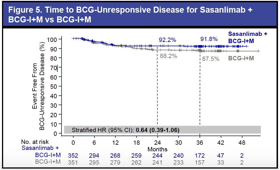An exploratory analysis assessed the development of BCG-unresponsive disease. A lower proportion of patients in the sasanlimab plus BCG-I+M arm developed BCG-unresponsive disease (7.1% vs 11.1%), and time to BCG-unresponsiveness numerically favored the combination (stratified HR: 0.64; 95% CI: 0.39–1.06). These findings suggest that sasanlimab may delay progression to BCG-unresponsive disease, a clinical milestone associated with increased treatment burden and limited bladder-sparing options.&nbsp;