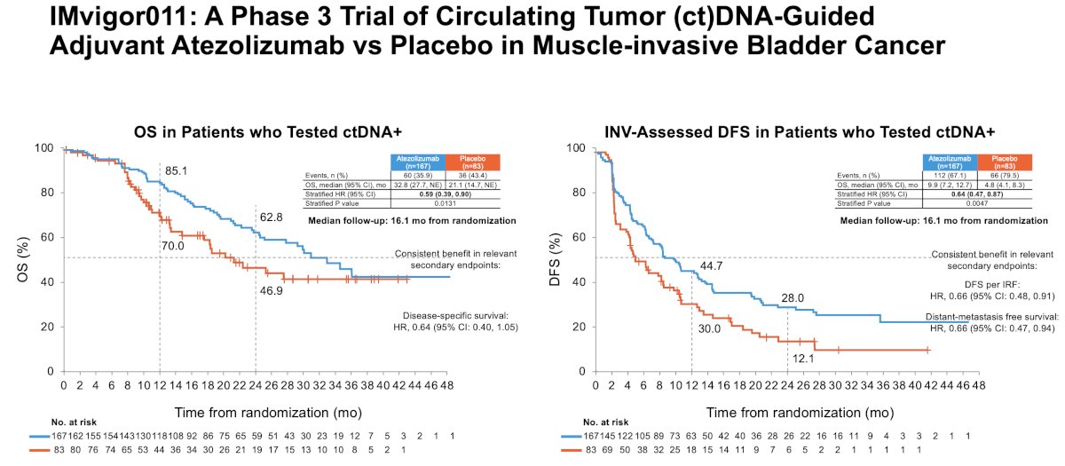 In contrast, ctDNA-positive patients receiving placebo had high and early recurrence rates, underscoring the prognostic significance of molecularly detectable MRD.
