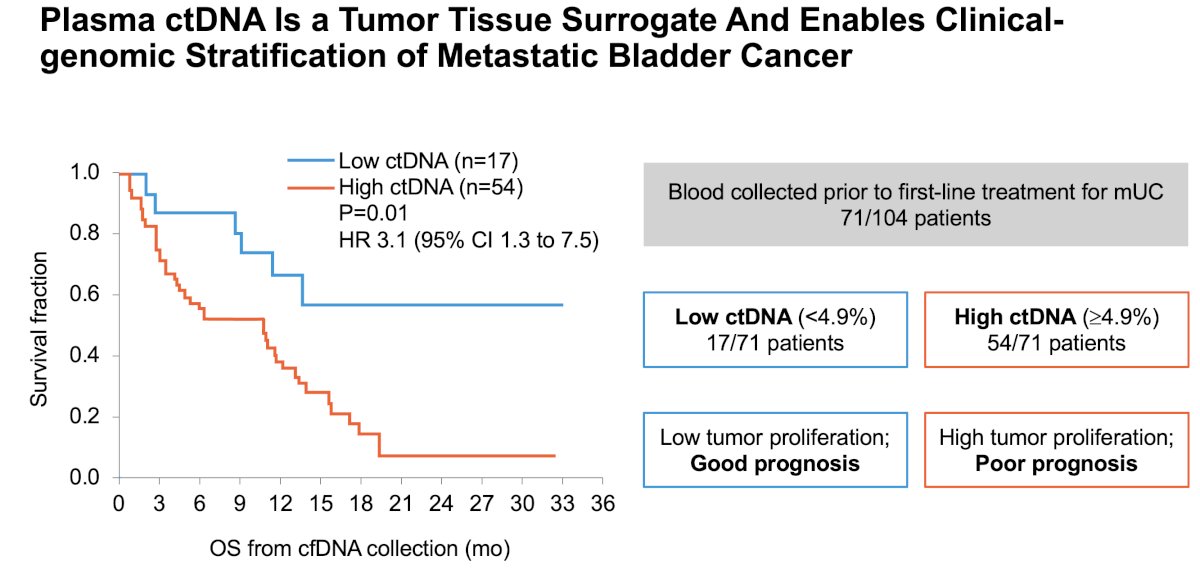 Multiple studies have shown that high baseline ctDNA levels are linked with worse outcomes in metastatic urothelial carcinoma. Vandekerkhove et al. demonstrated that patients with high ctDNA had markedly worse OS (HR 3.1; 95% CI 1.3–7.5).7