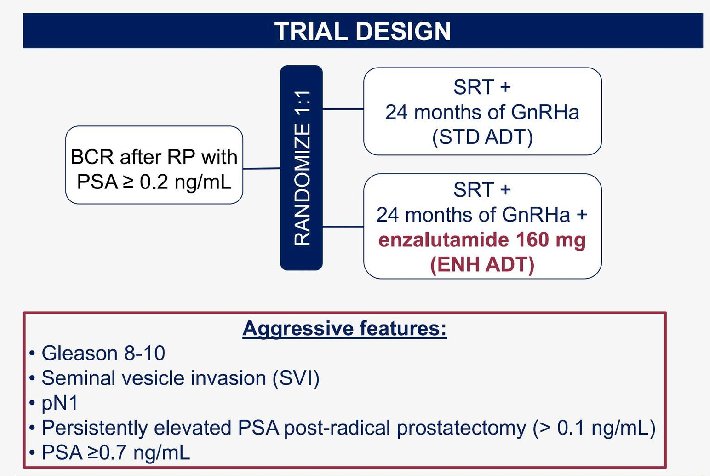 This randomized phase II trial enrolled post-RP patients with BCR (PSA ≥ 0.2 ng/mL) and at least one high-risk feature, including Gleason 8–10 disease, seminal vesicle invasion, pN1 disease, persistent PSA >0.1 ng/mL after RP, or PSA ≥ 0.7 ng/mL at recurrence. Patients were randomized 1:1 to receive 24 months of standard ADT (sADT) with an LHRH analog or intensified therapy consisting of LHRH analog plus enzalutamide 160 mg daily. The trial design is shown below.
